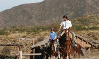 Cabalgata Atardecer 