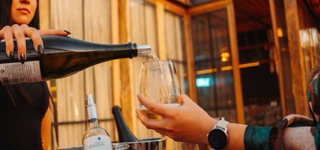 Almuerzo 4 pasos con visita a 3 bodegas y olivicola