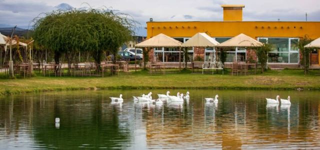 Bodegueando Valle De Uco