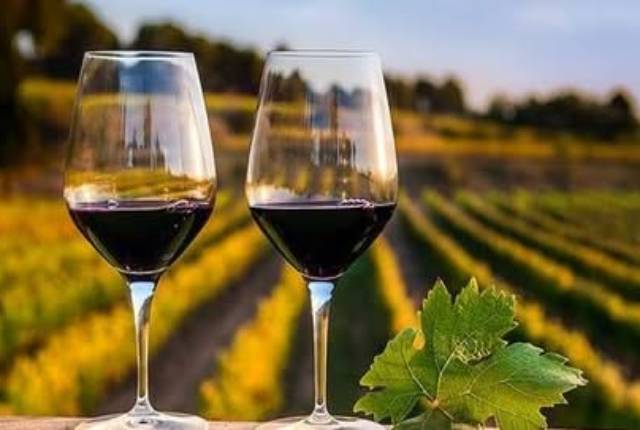 Bodegas y viñedos