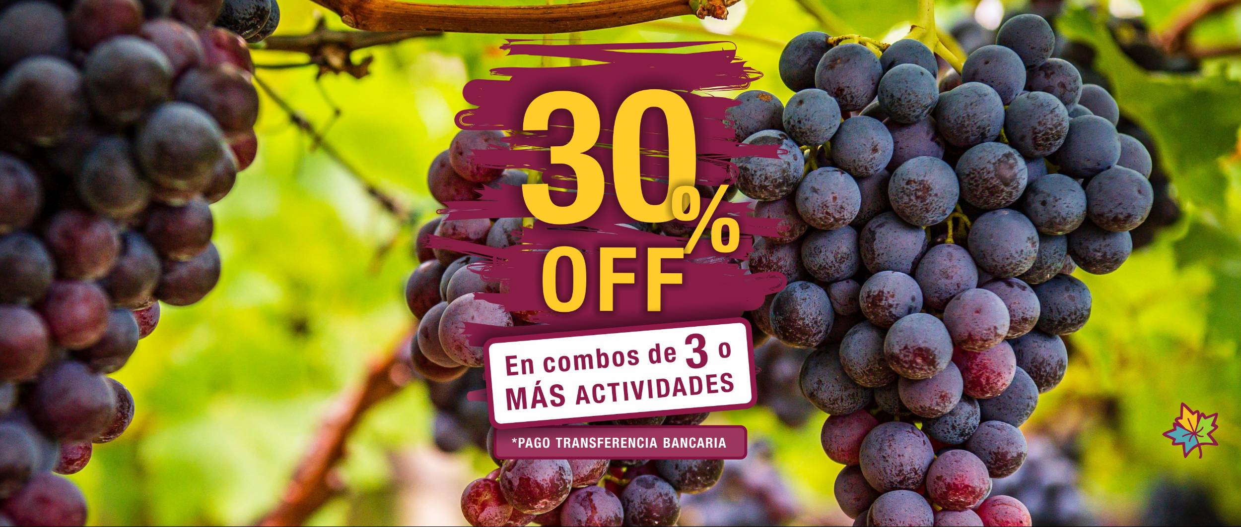Cepas Turismo en Mendoza