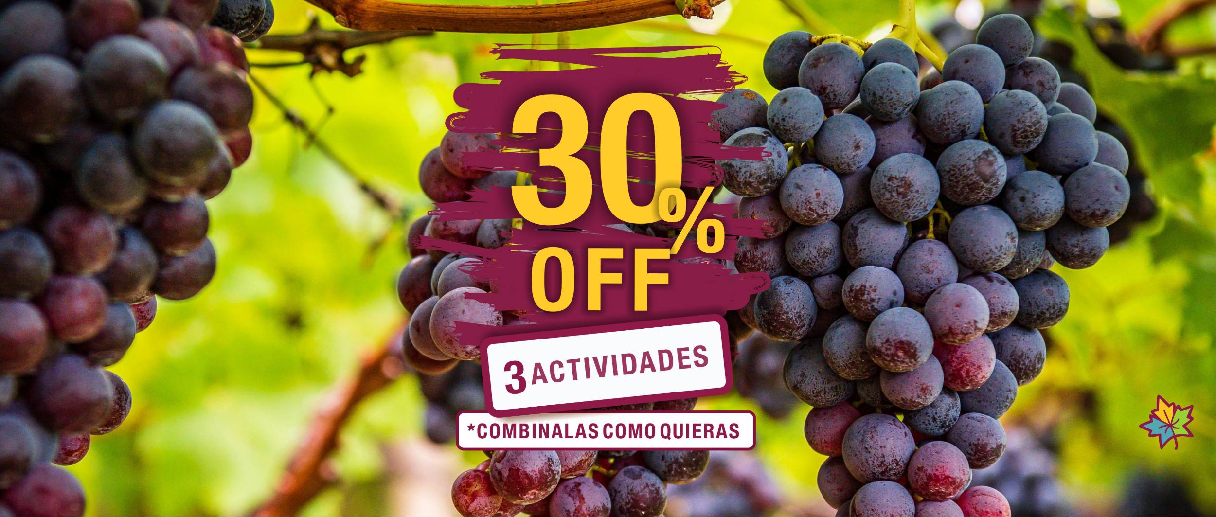 Cepas Turismo en Mendoza