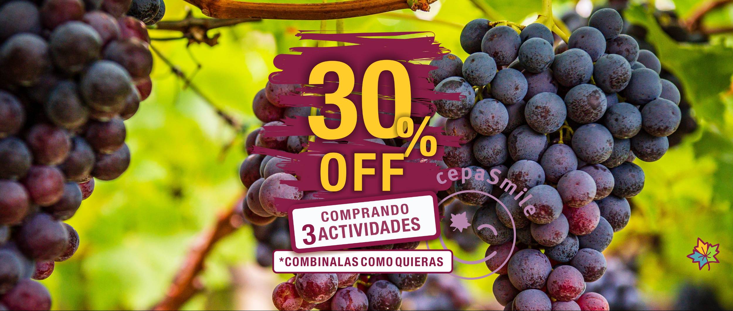 Cepas Turismo en Mendoza